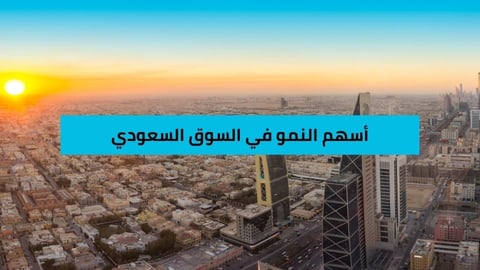 أفضل أسهم النمو في السوق السعودي لشهر ديسمبر