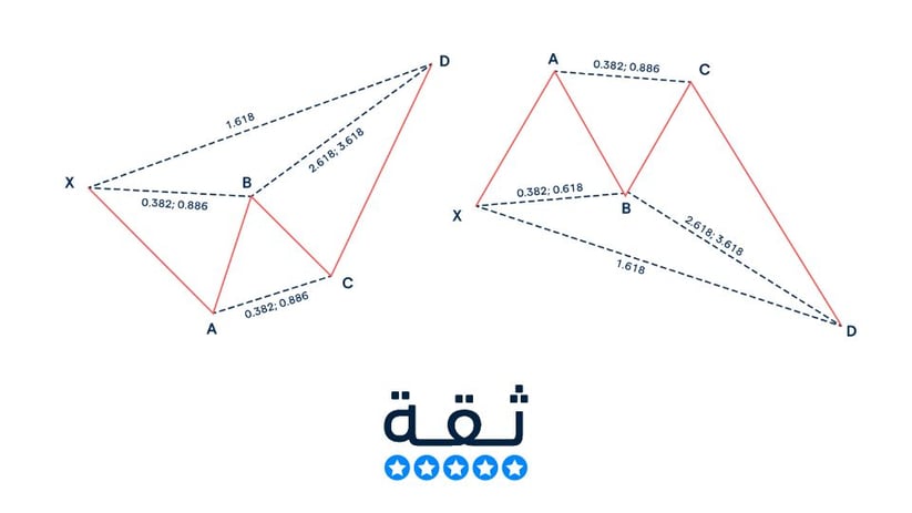 نموذج السلطعون