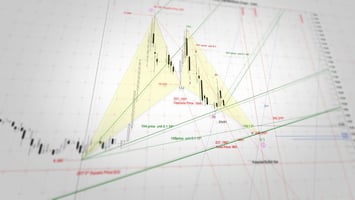 نماذج الهارمونيك Harmonic - الدليل الشامل