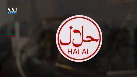 أفضل طرق الاستثمار الحلال المتوافقة مع الأحكام الشرعية