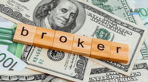 أنواع وسطاء التداول في الفوركس: أيهم الأفضل؟