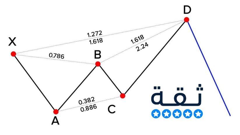 نموذج الفراشة