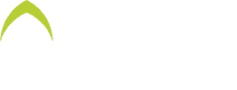 تقييم شركة Caveo