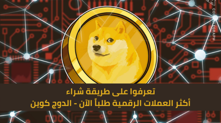 كيف يمكن شراء الدوج كوين Dogecoin؟