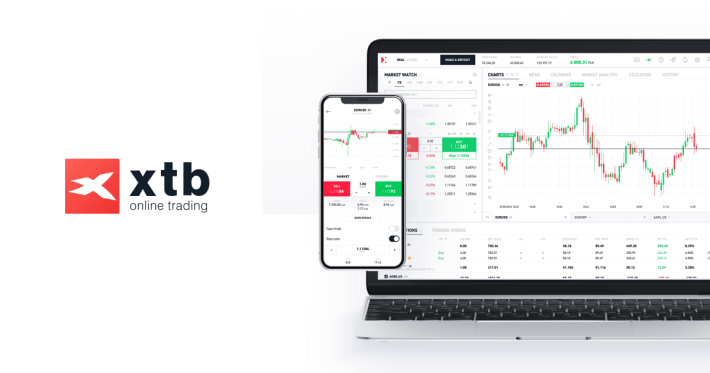 تقييم شركة XTB وعرض تراخيص الشركة تحديث 2024